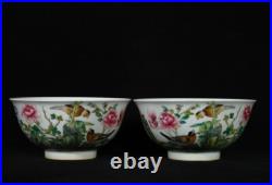 A Pair Rare Collectable Art Hand Painting Famille Rose Porcelain Bird Bowl