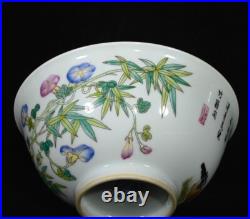 A Pair Rare Collectable Art Hand Painting Famille Rose Porcelain Bird Bowl