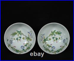 A Pair Rare Collectable Art Hand Painting Famille Rose Porcelain Bird Bowl