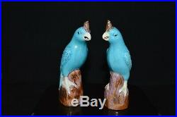 A Pair of Antique Chinese Qianlong Period Blue porcelain parrot figures