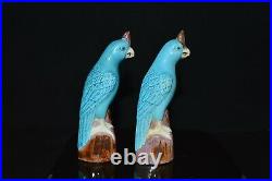 A Pair of antique Chinese export porcelain parrots, Middle of Qing Dynasty