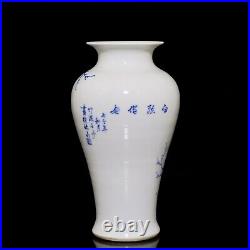 A pair Blue and white Porcelain Handmade Handpainted Flowers Birds Vases 70047