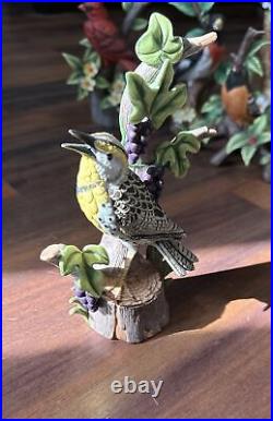 All 12 Danbury Mint The 12 Songbird Figurines Porcelain Birds Excellent Shape