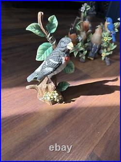 All 12 Danbury Mint The 12 Songbird Figurines Porcelain Birds Excellent Shape
