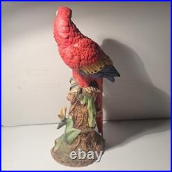 Andrea By Sadek Scarlet Macaw #9659 12.25 1996 Vintage