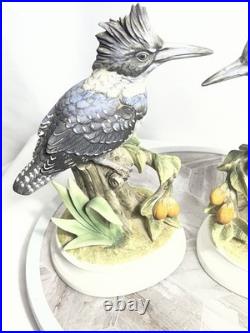 Andrea by Sadek Belted Kingfisher Bird Figurines Pair Porcelain Japan