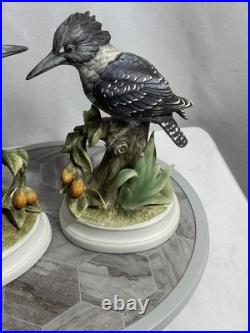 Andrea by Sadek Belted Kingfisher Bird Figurines Pair Porcelain Japan