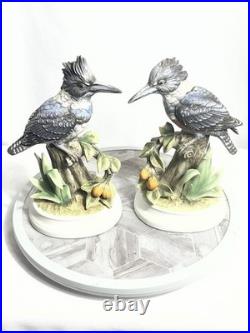 Andrea by Sadek Belted Kingfisher Bird Figurines Pair Porcelain Japan