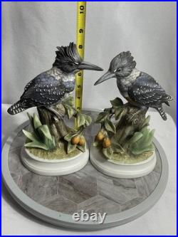 Andrea by Sadek Belted Kingfisher Bird Figurines Pair Porcelain Japan