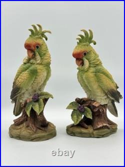 Andrea by Sadek Cockatoo Porcelain Figurine Pair 5959 Made in Japan 8.5 7.75