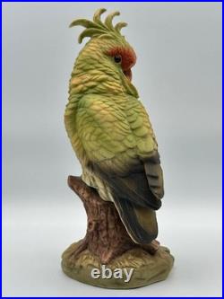 Andrea by Sadek Cockatoo Porcelain Figurine Pair 5959 Made in Japan 8.5 7.75