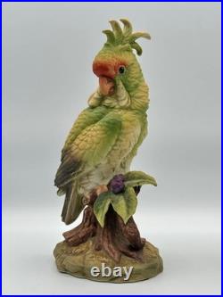 Andrea by Sadek Cockatoo Porcelain Figurine Pair 5959 Made in Japan 8.5 7.75 Andrea by Sadek Cockatoo Porcelain Figurine Pair 5959 Made in Japan 8.5 7.75