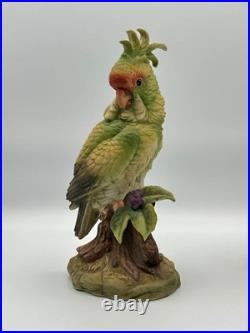Andrea by Sadek Cockatoo Porcelain Figurine Pair 5959 Made in Japan 8.5 7.75