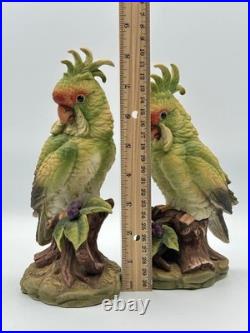Andrea by Sadek Cockatoo Porcelain Figurine Pair 5959 Made in Japan 8.5 7.75