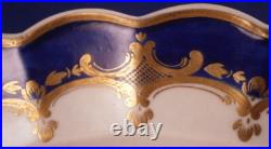 Antique 18thC Worcester Porcelain Bird Scene Plate Porzellan Teller Scenic