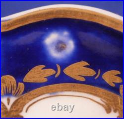 Antique 18thC Worcester Porcelain Bird Scene Plate Porzellan Teller Scenic