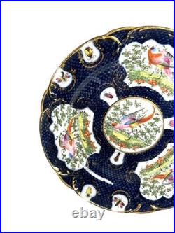 Antique Chelsea Porcelain Cabinet Plate with Exotic Birds and Insects