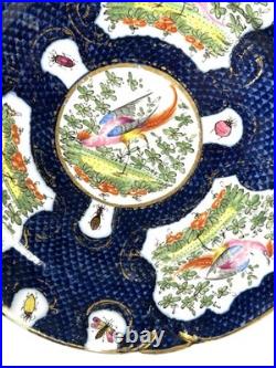 Antique Chelsea Porcelain Cabinet Plate with Exotic Birds and Insects