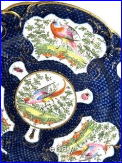 Antique Chelsea Porcelain Cabinet Plate with Exotic Birds and Insects