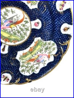 Antique Chelsea Porcelain Cabinet Plate with Exotic Birds and Insects