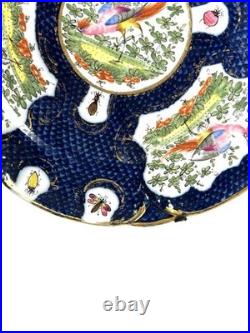 Antique Chelsea Porcelain Cabinet Plate with Exotic Birds and Insects