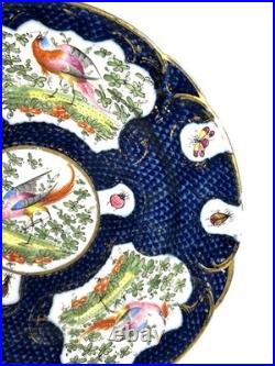 Antique Chelsea Porcelain Cabinet Plate with Exotic Birds and Insects