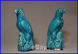 Antique Chinese Export Porcelai Qing Dynasty Porcelain Turquoise Glazed Parrots