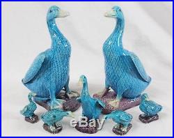 Antique Chinese Export Turquoise Porcelain Duck 9 Pair + More Lot (7) Bird