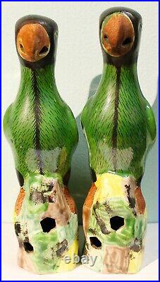 Antique Chinese Pair Porcelain Hawks Parrots Perfect
