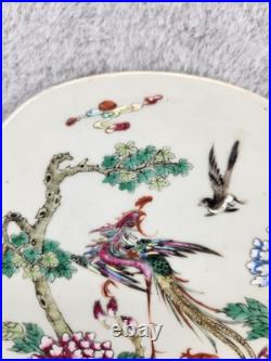 Antique Chinese Porcelain Plaque Hand Painted Famille Rose Bird Tree Tile 10.25