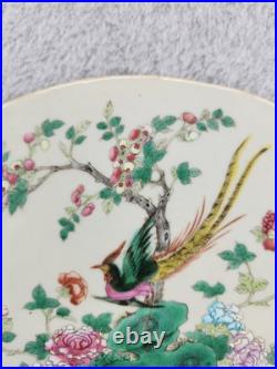 Antique Chinese Porcelain Plaque Hand Painted Famille Rose Bird Tree Tile 10.5