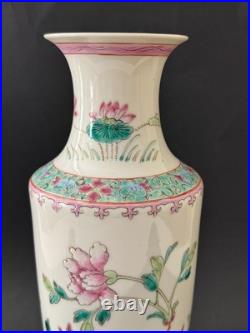 Antique Chinese Republic Period Porcelain Vase 11 Birds Flowers Famille Rose