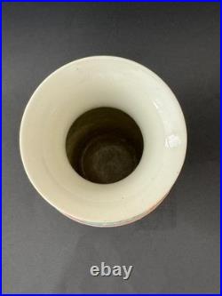 Antique Chinese Republic Period Porcelain Vase 11 Birds Flowers Famille Rose