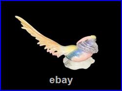 Antique ENS Gold Pheasant Forest Hunt Bird Animal German Porcelain Figure Statue