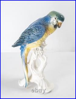 Antique German Porcelain Painted Macaw Parrot By Karl Ens