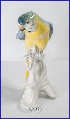 Antique German Porcelain Painted Macaw Parrot By Karl Ens