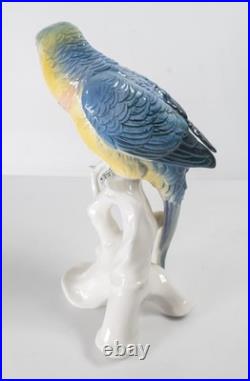 Antique German Porcelain Painted Macaw Parrot By Karl Ens