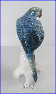 Antique German Porcelain Painted Macaw Parrot By Karl Ens