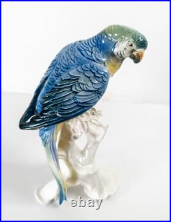 Antique German Porcelain Painted Macaw Parrot By Karl Ens