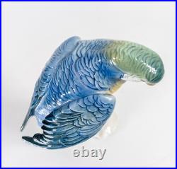 Antique German Porcelain Painted Macaw Parrot By Karl Ens