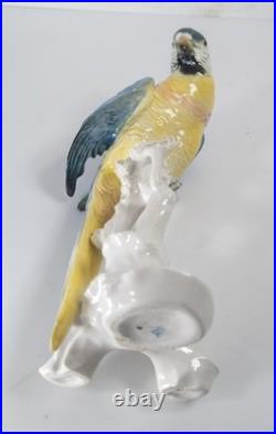 Antique German Porcelain Painted Macaw Parrot By Karl Ens