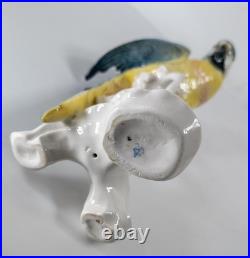 Antique German Porcelain Painted Macaw Parrot By Karl Ens