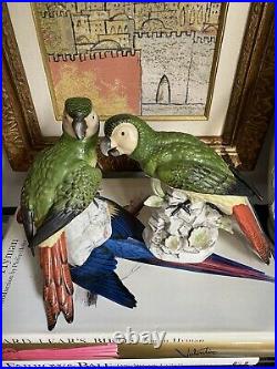 Antique Handpainted Porcelain Parrot Pair French German English Origin Unknown