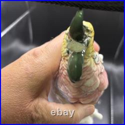 Antique Karl Ens Cockatoo Parrot Bird Figurine Porcelain Ceramic Large 12 High
