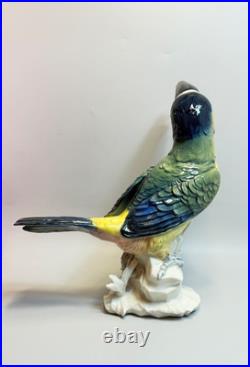 Antique Karl Ens Porcelain Figurine Colourful Toucan Bird On Branches large 11'