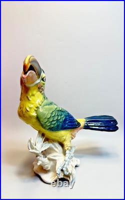 Antique Karl Ens Porcelain Figurine Colourful Toucan Bird On Branches large 11'