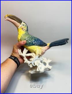 Antique Karl Ens Porcelain Figurine Colourful Toucan Bird On Branches large 11'