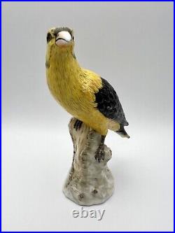 Antique Ludwigsburg German 1800s Porcelain Oriole Bird on Tree Trunk Figurine