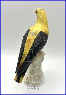 Antique Ludwigsburg German 1800s Porcelain Oriole Bird on Tree Trunk Figurine