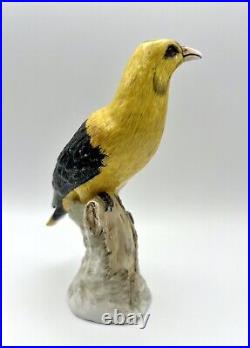 Antique Ludwigsburg German 1800s Porcelain Oriole Bird on Tree Trunk Figurine